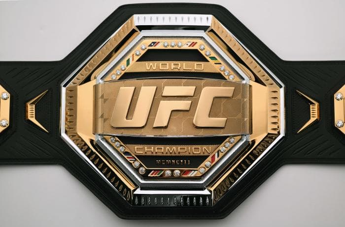 Pas mistrzowski UFC